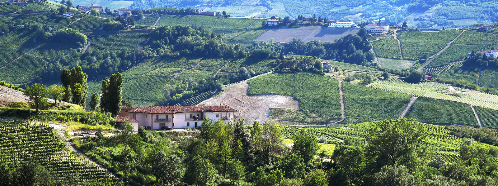 20 HECTARES DIVIDED BETWEEN VINEYARDS, WOODS, AND MEADOWS