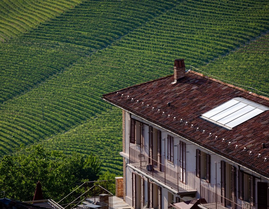 Visite & Attività.